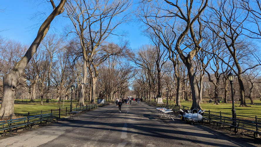 NYC_2024-02-03 09-46-39_PXL_20240203_144639297